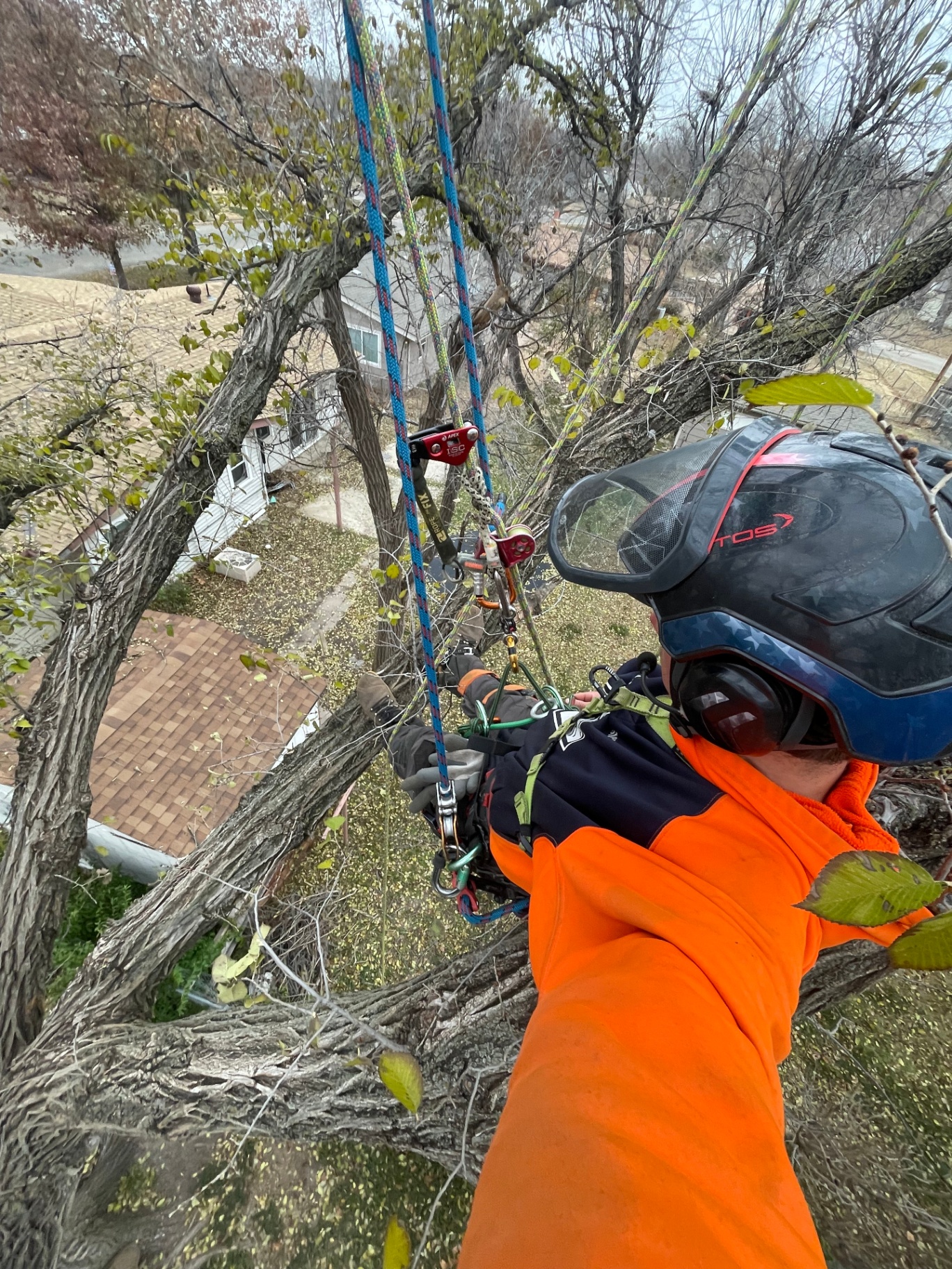 Tree Service Wichita KS | Tree Trimming, Removal & Stump Grinding ...
