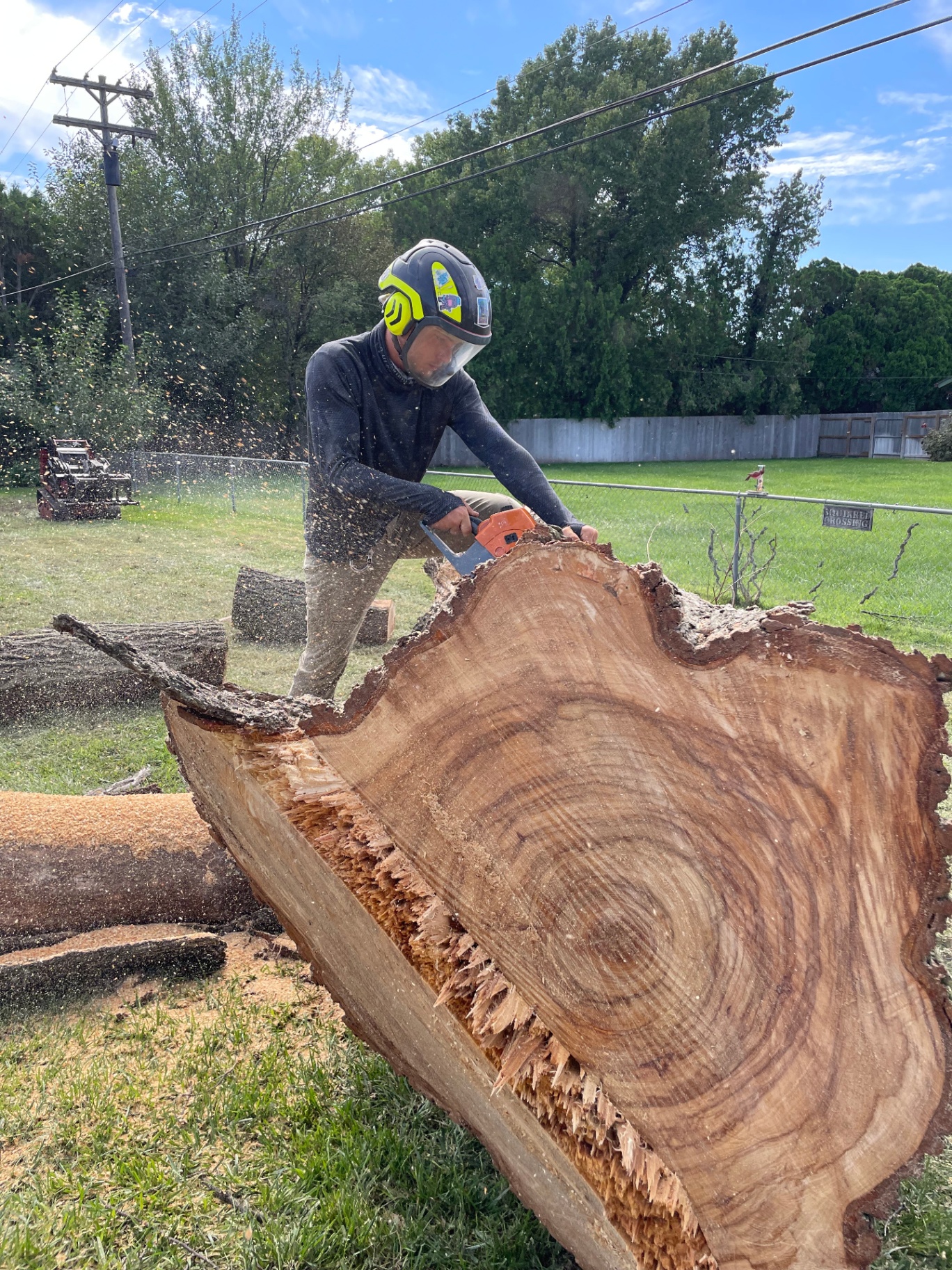 Tree Service Wichita KS | Tree Trimming, Removal & Stump Grinding ...